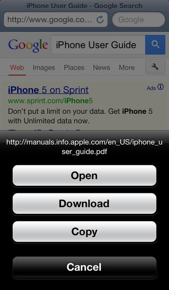 Downloads Pro Free for iOS
